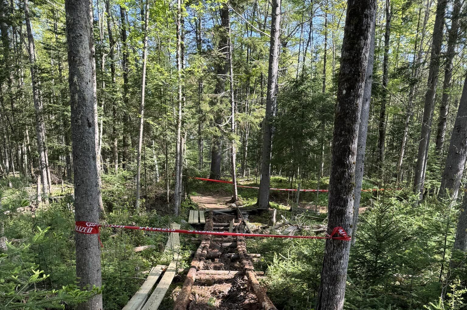 Blog | NBLS Trail Works