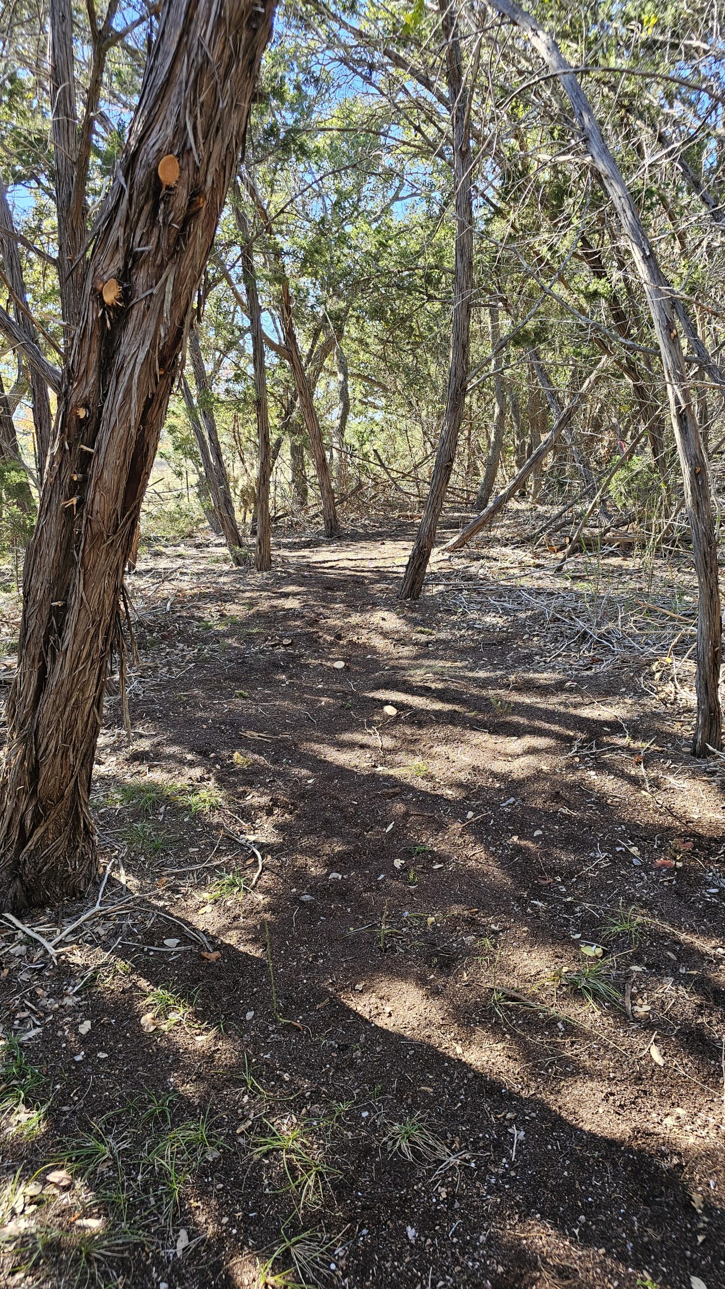 Blog | NBLS Trail Works