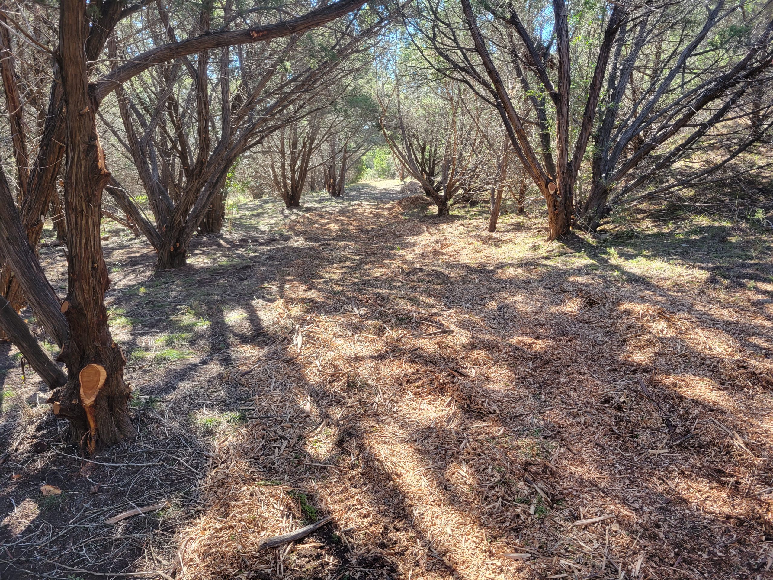 Blog | NBLS Trail Works